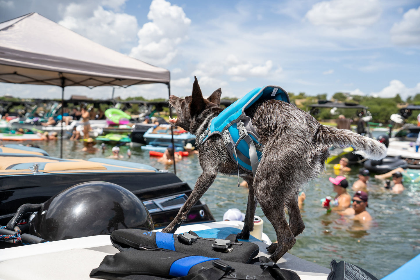 BABZ Classic Inflatable Boat Fender Bumpers (24", Black w/White Logo, Pack of 1)